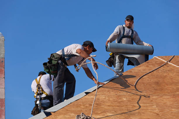 Best Metal Roofing Contractor  in New Hampton, IA